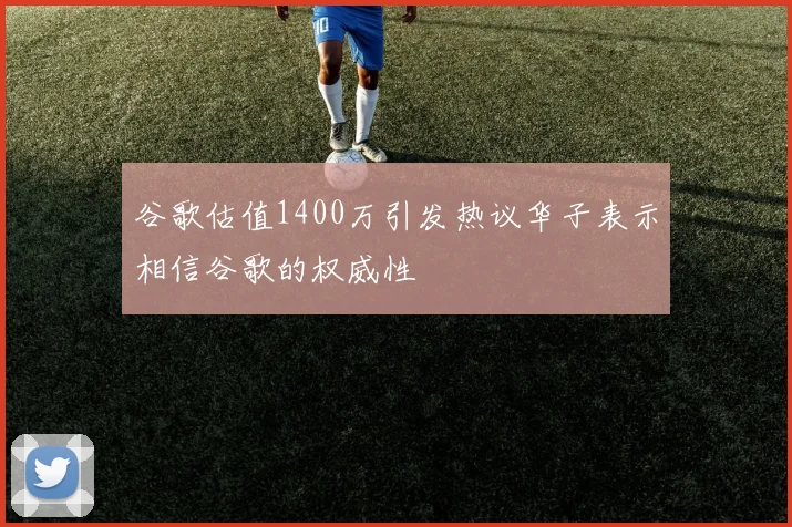 谷歌估值1400万引发热议华子表示相信谷歌的权威性