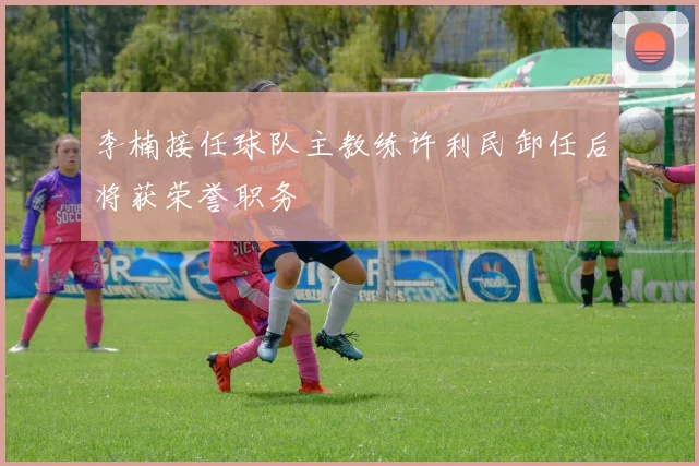 李楠接任球队主教练许利民卸任后将获荣誉职务